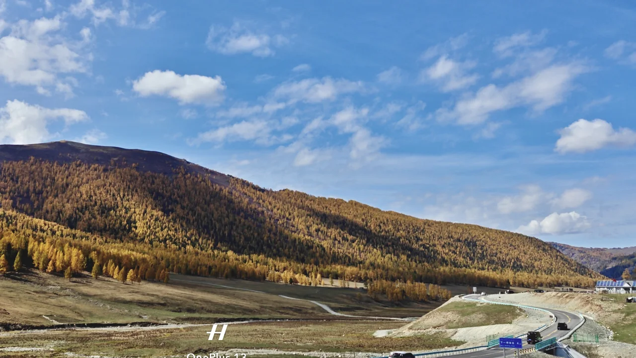 Five Days on the Altay Road