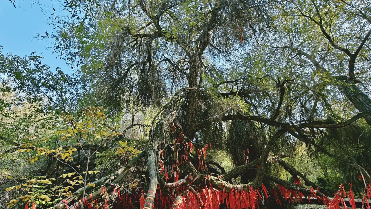A Family Journey into Ili Nature