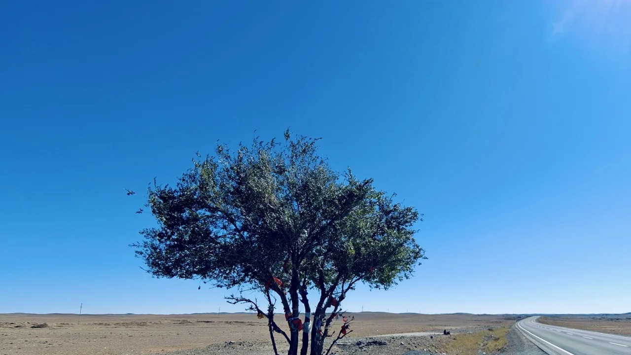 Nine Days Across Southern Xinjiang