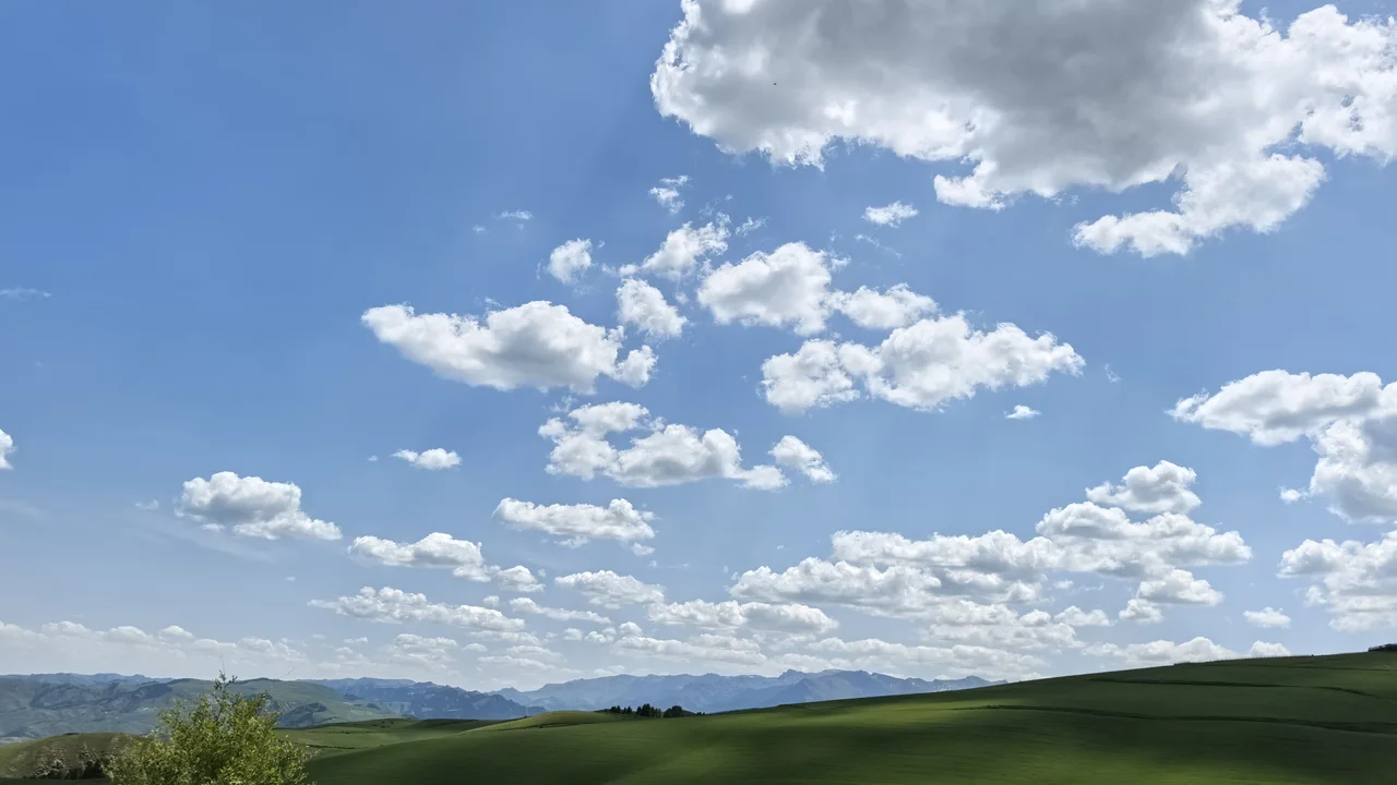A Week on the Grassland as a Family