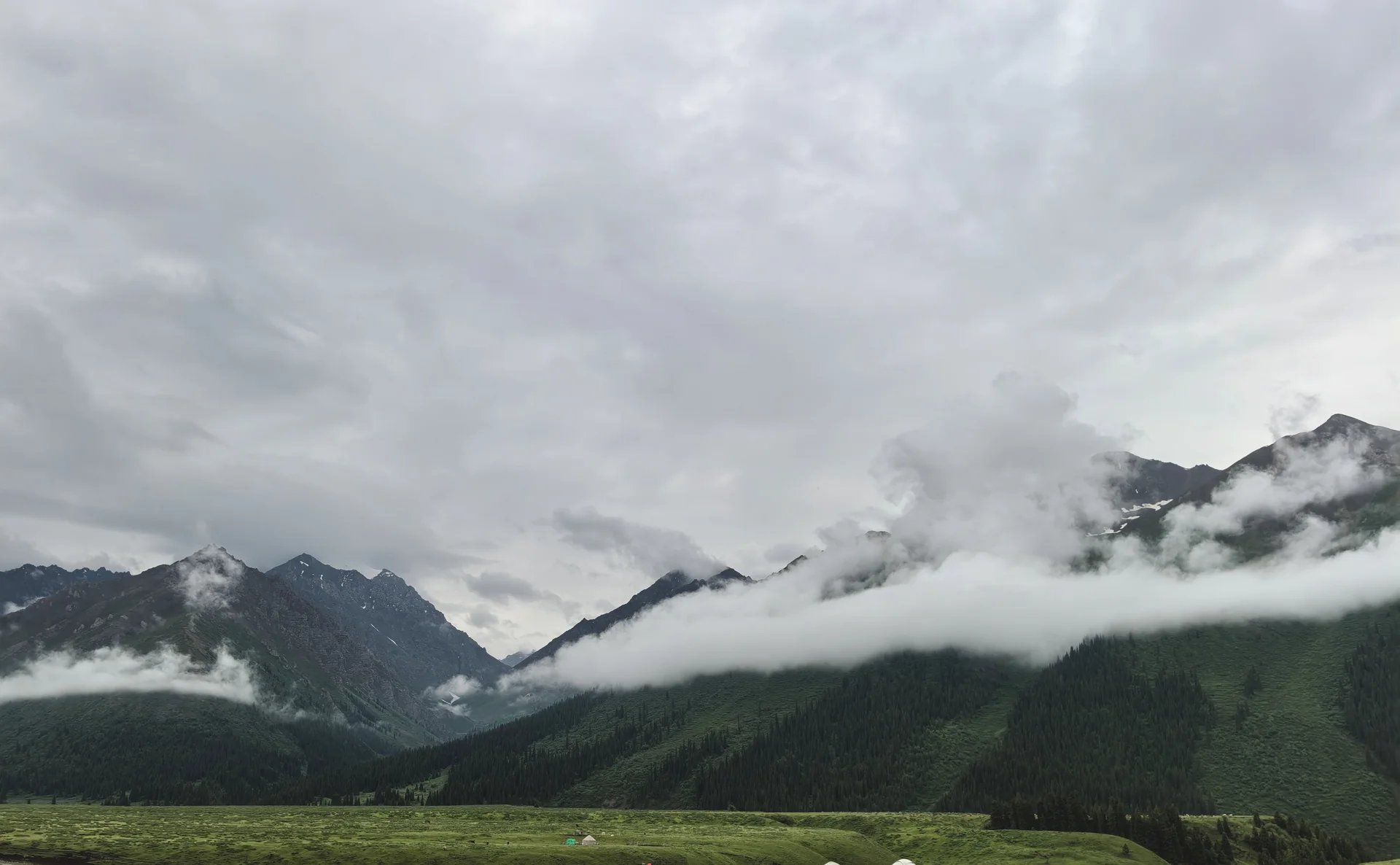 天山腹地徒步实拍，层叠云海横贯冷杉林与山腰，脚下高山草甸茵茵延伸，展现步入真实山林徒步时沉静、节制而充满生机的自然现场。